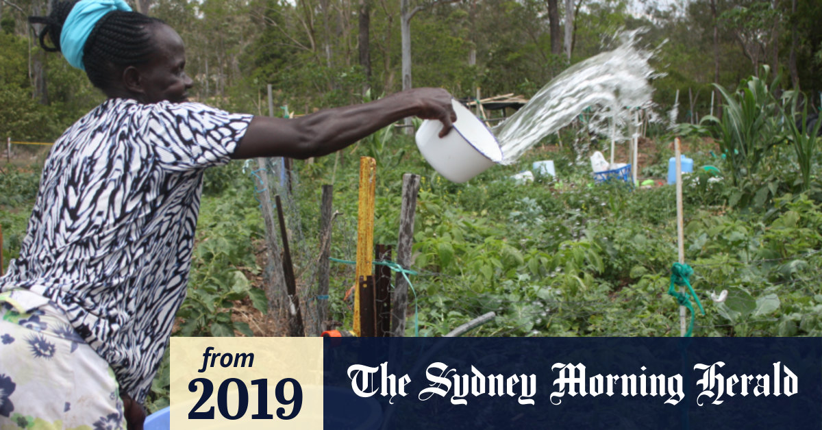 Troubled water PFAS pollution found downstream from Ipswich dump